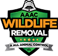 Ocala Wildlife Removal